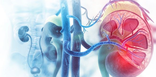 Renal Denervation for Resistant Hypertension